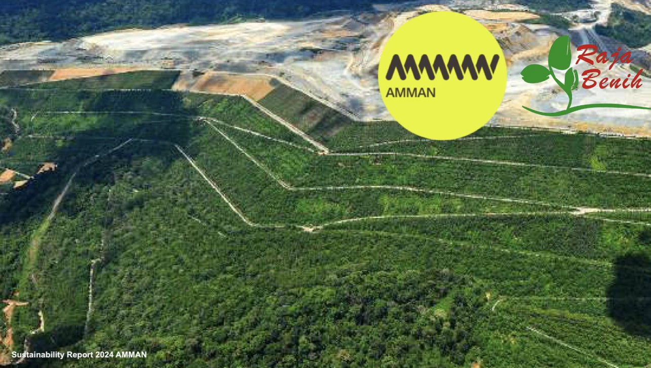 Raja Benih Dukung AMMAN Mineral Tbk : Menghidupkan Lahan, Menggerakkan Ekonomi Lewat Reklamasi Tambang